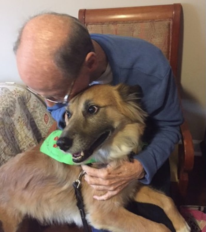 美国北卡罗来纳州追思会上忠犬用力踮脚只为见主人最后一面