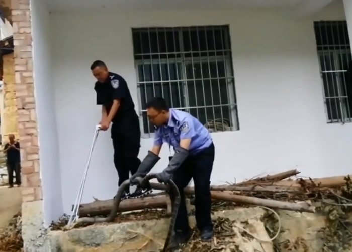 ��Ա�����۾����ߡ�