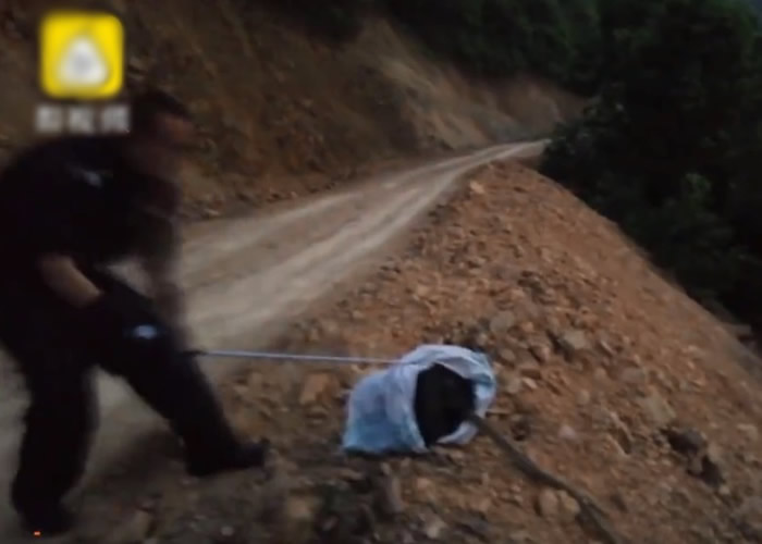 ��Ա���������߷Ź����Ȼ��