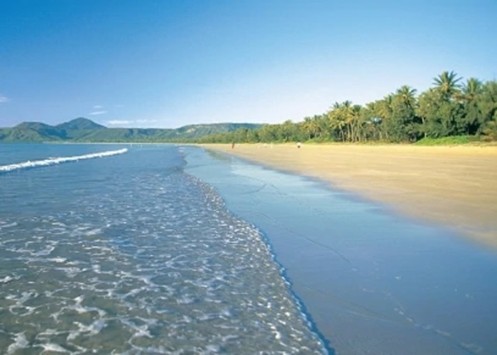 澳洲昆士兰省旅游胜地弗雷泽岛多次发生澳洲野犬袭人事件