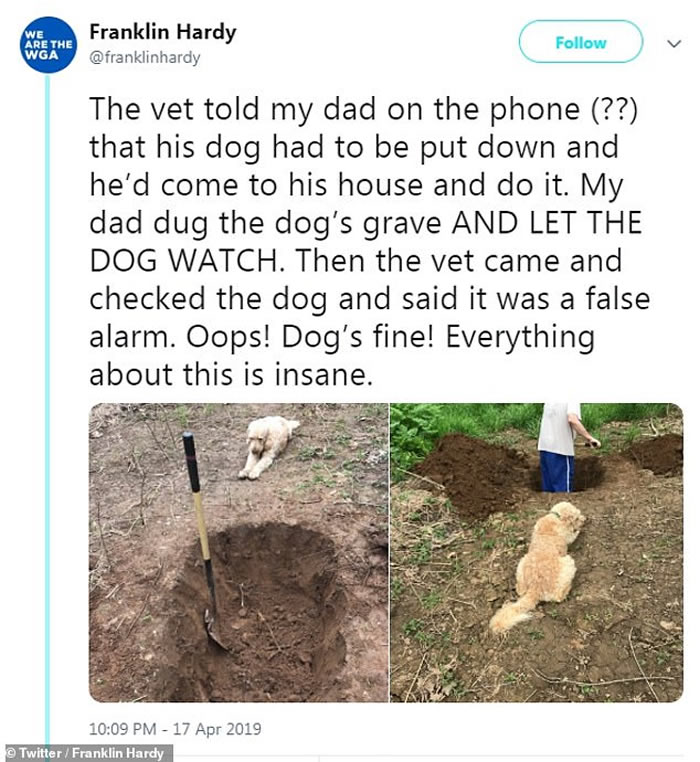 场面令人心碎:美国兽医误诊要安乐死 狗狗伏在旁看主人为自己挖坟