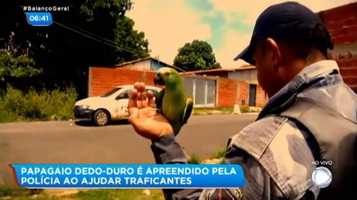 ������������һֻ�������������� �����ڱ������һ�仰Ҳ��˵��