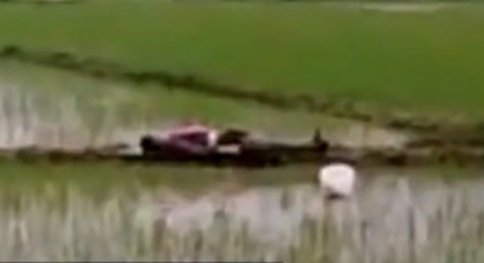 ����ʡ������̩����ũ���������������� ˲�䵹�ص�������