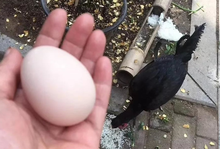 㽭ʡмֵ9000Ԫս ҵʱѱëɱ׼Ե