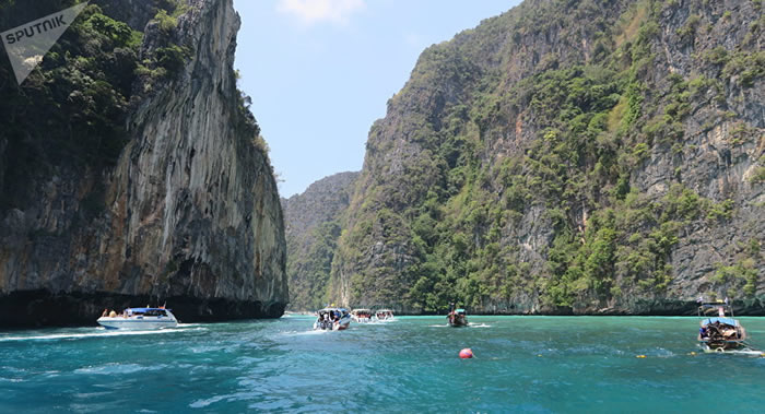 泰国科学家提出恢复玛雅湾海洋动植物种群的方法:用强力胶来固定珊瑚