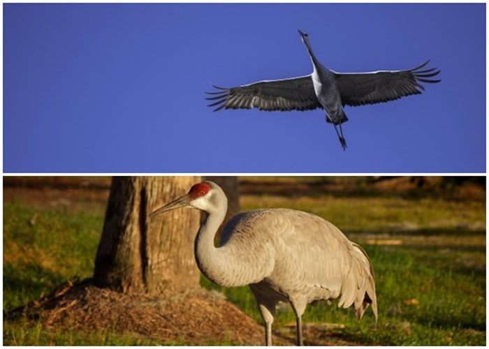 �������������ī����������ͣ����ɳ��׹���· 3����ײ���³��ϰ�����������