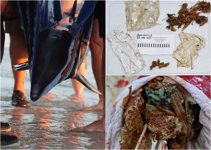 �������ײڳݺ����ǳ���ΰ����� θ�ڲش����ܽ�����