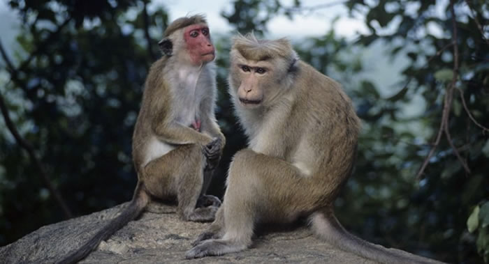 ������������һ���������⵽��Ⱥ���������෭