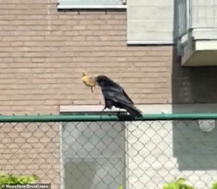 ����ʱ����ѻ��Ѽ������ǰ����Ѽ����