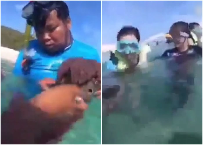 泰国男子采摘海葵给中国游客把玩 遭网民围剿后自首