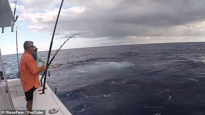 美国渔民花8小时钓起343公斤巨型剑鱼 刷新佛罗里达州纪录