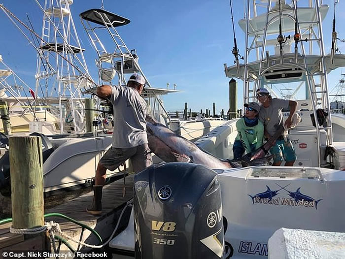 美国渔民花8小时钓起343公斤巨型剑鱼 刷新佛罗里达州纪录