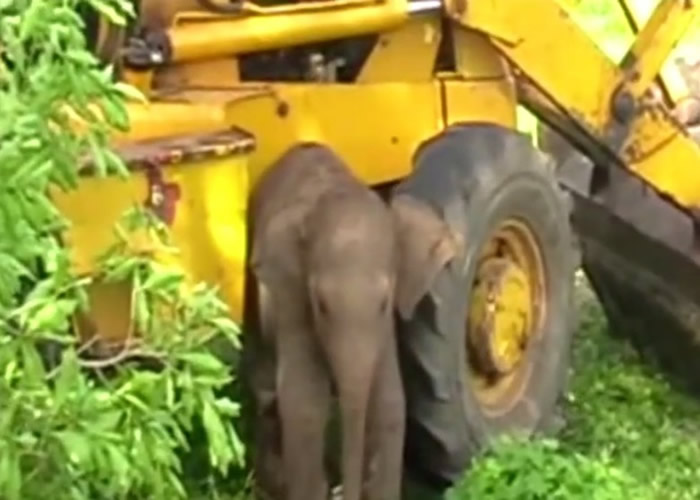 С���������������Ը��ȥ�����Ƕ�л�������ˡ�