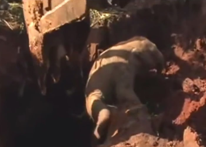 ��������������ڶ��ں�������С������������