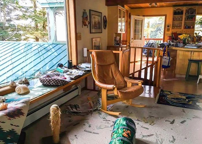 ��������˹�ӿƵ��ǿ�����2.4�׾�ӥ����ӡ��ݻ١�����