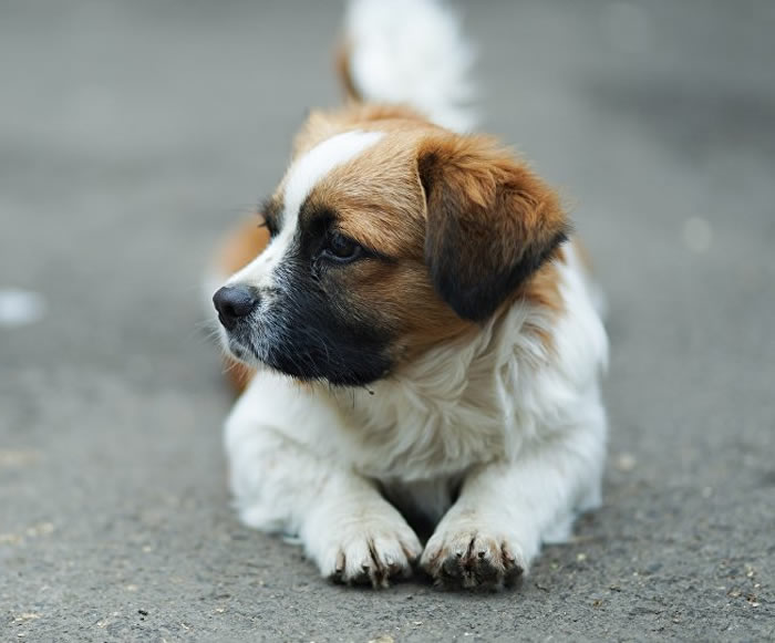 ŲŮοڷɱݼʱչһֻ˹ҧ ºڿȮ