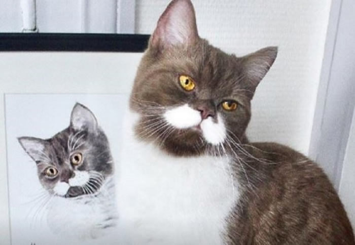 ���Ŵ���̽���������è�䡰���ָ硱��Ϊ�罻�����ϵ�����