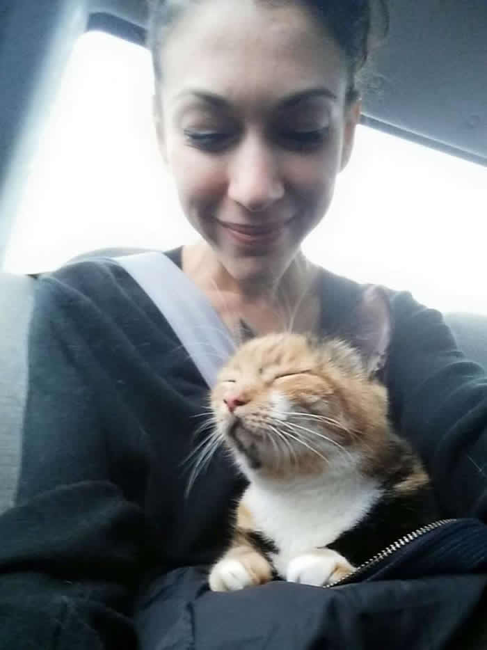 �в�è������һֻ���ɵ��Ե�Сè��ȡ�������� �����˻���10����Ԫ������