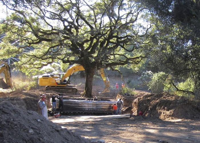 ����������һ�Է򸾿���180����ʷ���� �ⷣ��60����Ԫ