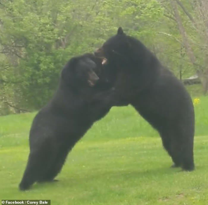 ���������������Ӽ���ǰ������ֻ����ܡ����ˡ�