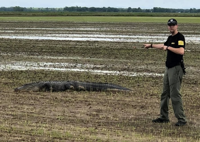 ��������ɫ�ݸ�����˹�����º�ˮ���� �������ϰ���ɷ����