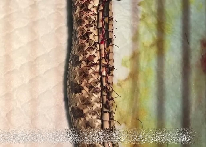 �����Ͼ�����������������ʱ�����Ѳ� ҽ���ʸ�����������