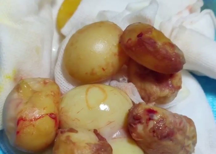 �����Ͼ�����������������ʱ�����Ѳ� ҽ���ʸ�����������