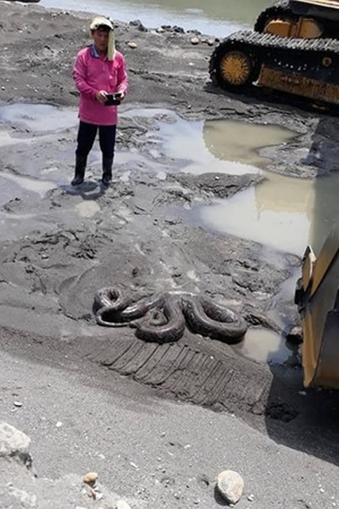 ̨��������б���Ÿ������ؾ���5���߳�����