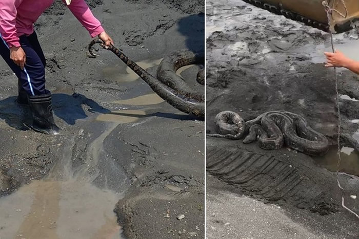 ̨��������б���Ÿ������ؾ���5���߳�����