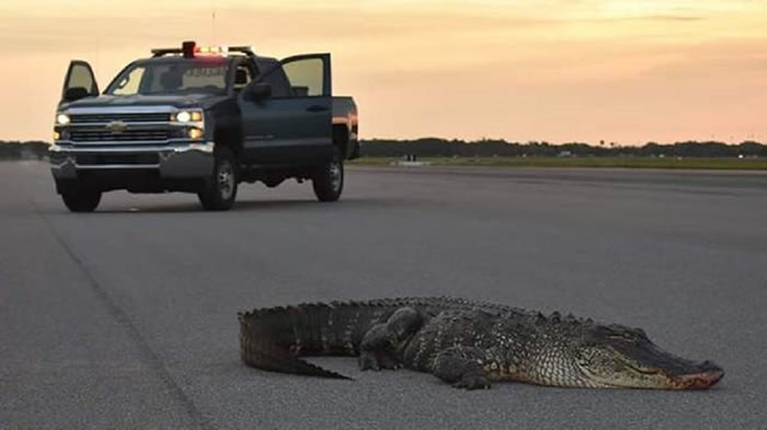 �������������̹���е���˵϶��վ����ؾ��ִ�����