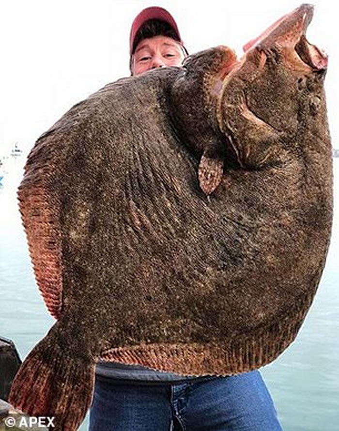 Josh Perkes������Twitter��Instagram��ҳ��չʾ���������