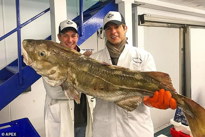 Josh Perkes������Twitter��Instagram��ҳ��չʾ���������