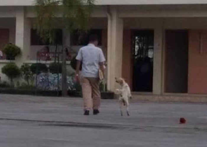 平常在校园他们总是黏在一起