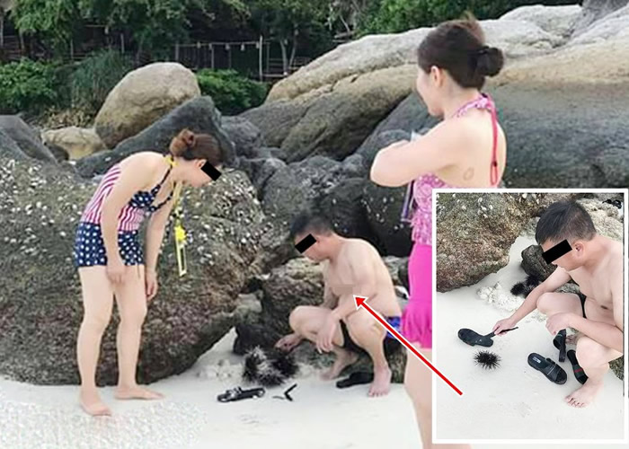 ̩��ɳ�ظ���������̲�й��ο�ץ�𺣵����棿