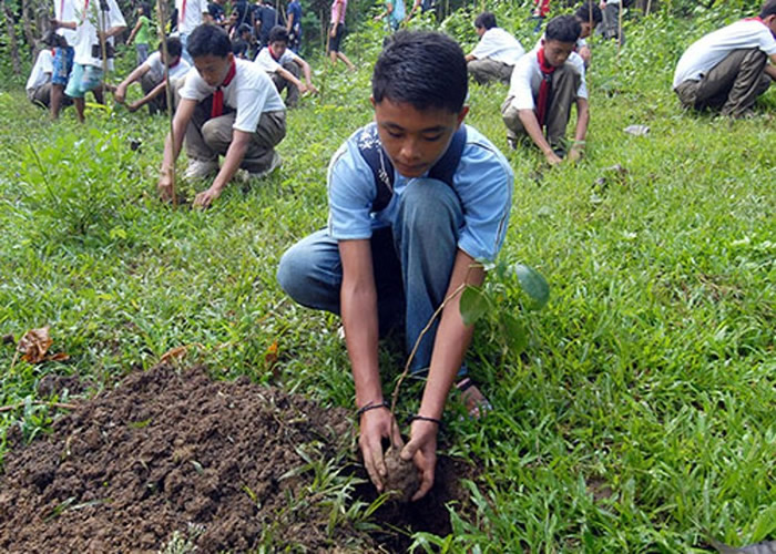 菲律宾培养学生爱护大自然 规定毕业前需种10棵树