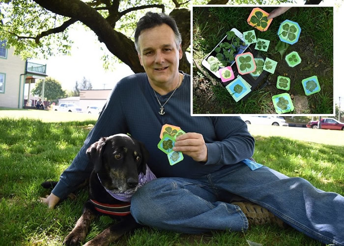 ôһڲɵ300׳ơ˲ݡҶ Զ15в