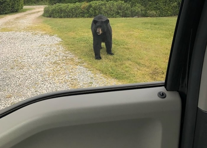 �����޵õ��������������������ͼ�ϳ� ��Ů˾�������Űκӡ�