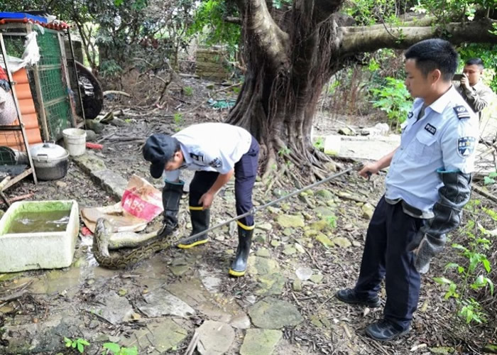 ���������������ߴ�����ӰѼ��Ե��󻹰�ռ���Ѻ�����˯