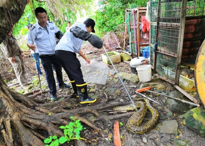 ����Ա����������׽�ߡ�