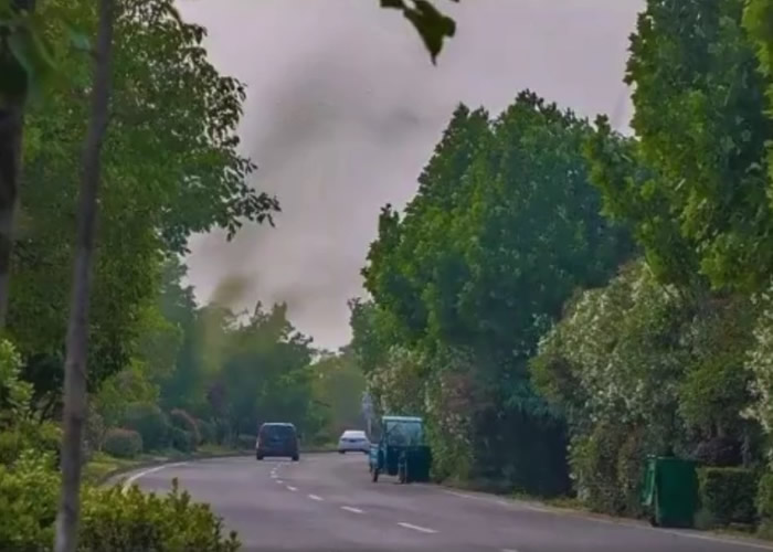 ���ճ����Ͽվ��֡��������� ר��ָ��ҡ�á�����̬��������