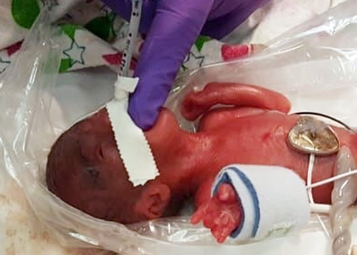 ��������ʥ�������ȫ����СӤ�� ����245���漣����