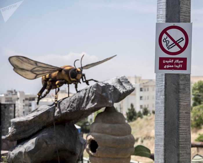 ���ʵº��������湫԰��٪�޼͹�԰