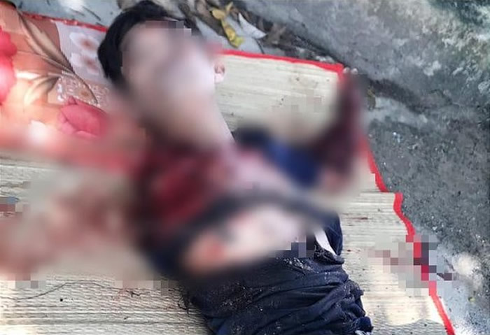 越南平阳省动物园饲养员帮印度支那虎洗澡双臂惨被咬断