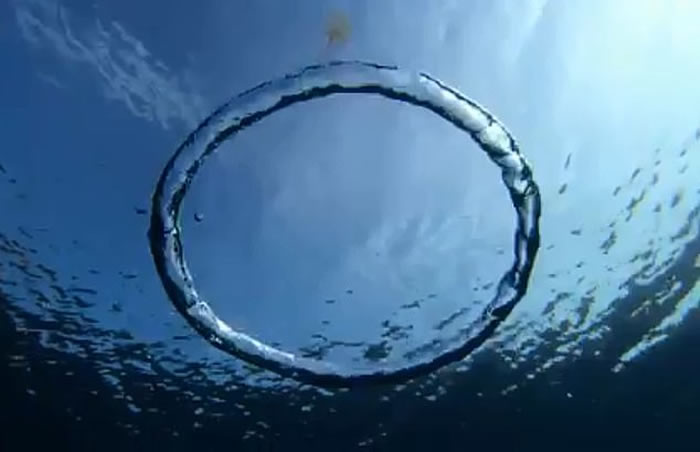 ������÷ŵ����������ˮĸ��������Ȧ�������òŽ���