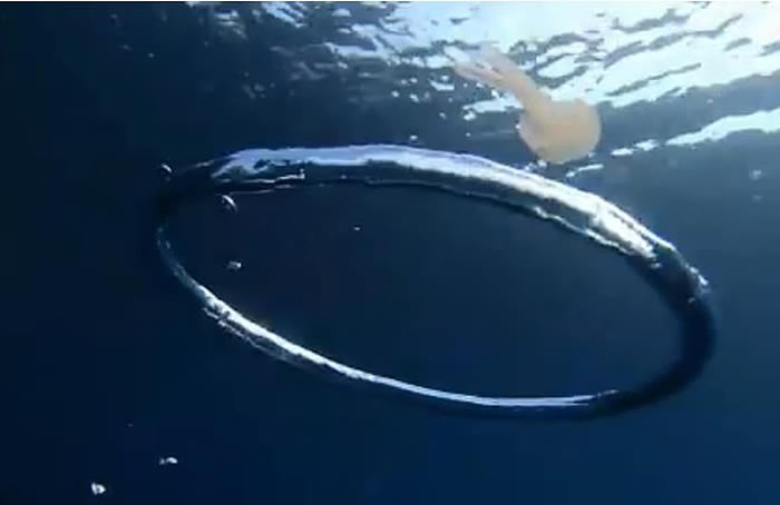 ������÷ŵ����������ˮĸ��������Ȧ�������òŽ���