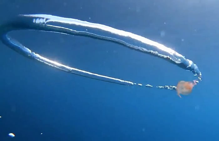 ������÷ŵ����������ˮĸ��������Ȧ�������òŽ���