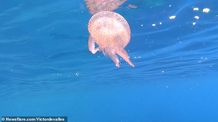 ������÷ŵ����������ˮĸ��������Ȧ�������òŽ���