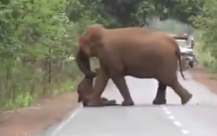 ӡ�ȴ���ȺΪС���������