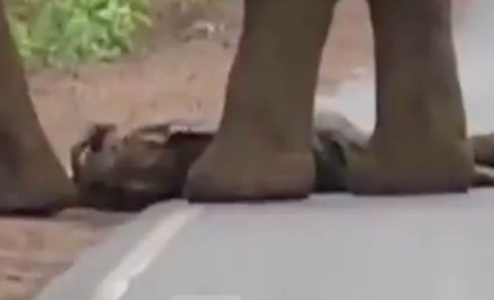 ӡ�ȴ���ȺΪС���������