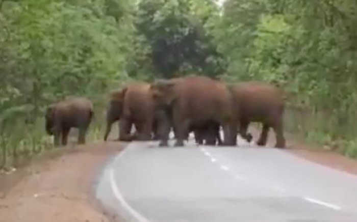 ӡ�ȴ���ȺΪС���������